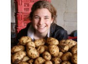 NEW SEASONS MOONLIGHT POTATOES 5 KG Bag Pukekohe Grown